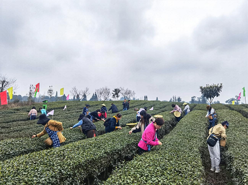 1678342799351903.png 图片2.png