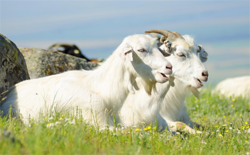 1679970005932510.png 图片8.png