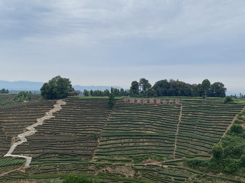 1686649217383222.png 图片3.png