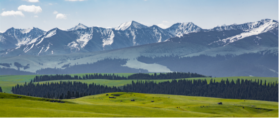 1687770962429896.png image.png