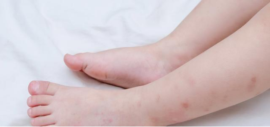 1688020621228292.png image.png