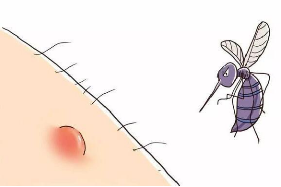 1688020630390570.png image.png