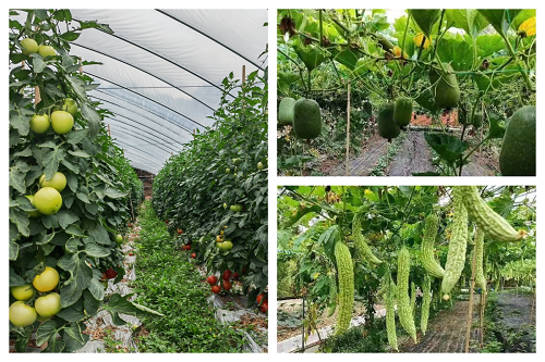 1688107321303483.png 图片1.png