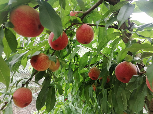 1688107366913856.png 图片2.png