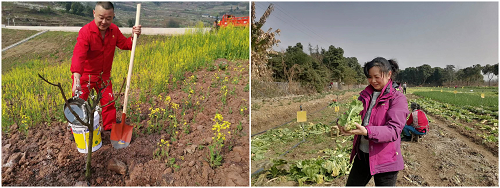 1688107404471658.png 图片4.png