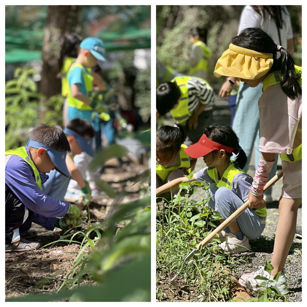 1689583978384819.png 图片7.png