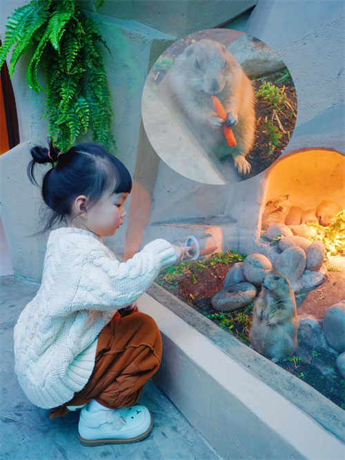 1691054860612400.png 图片5.png