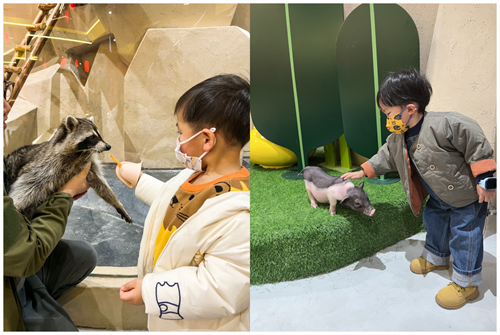 1691054869473222.png 图片6.png