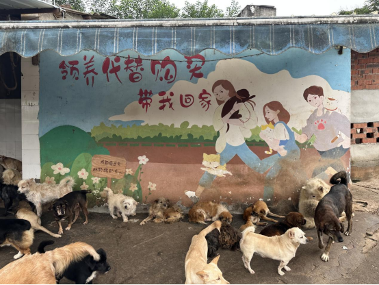 1695868209105993.png image.png