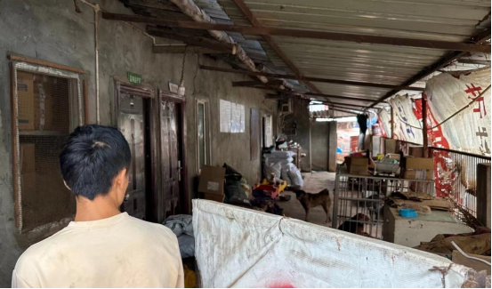 1695868189937463.png image.png