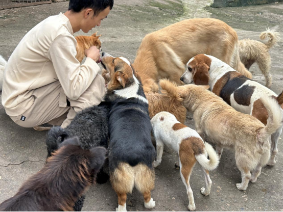 1695868195469015.png image.png