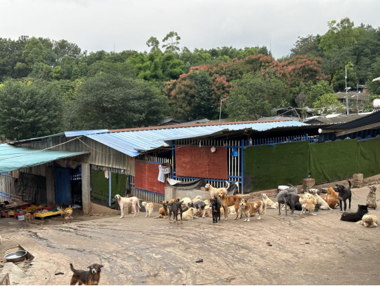 1695868202261174.png image.png