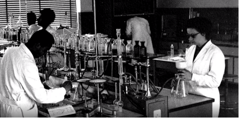 1700469869184495.png image.png