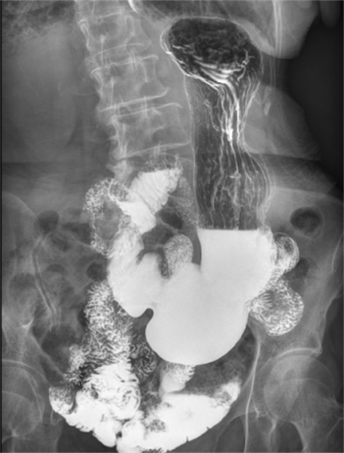 1703731110414412.png 图片2.png