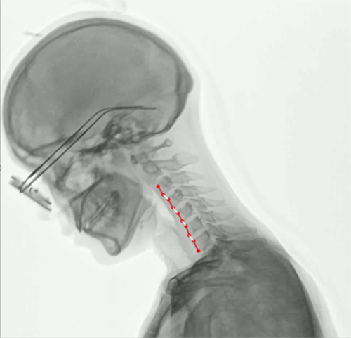 1703731362829387.png 图片8.png