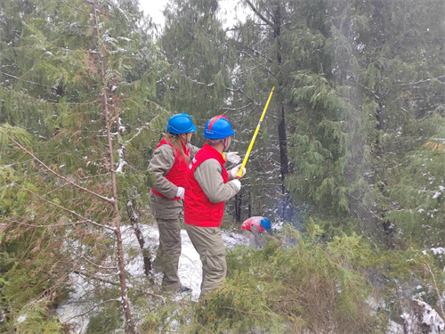 1706945787822881.png 图片2.png