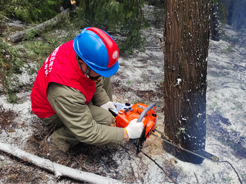 1706972484571065.png 1.png