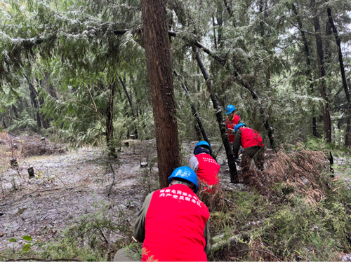 1706972490386532.png 2.png