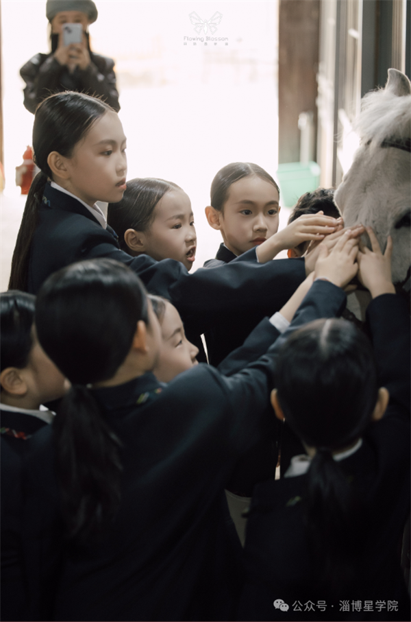 1712717702564768.png 图片24.png