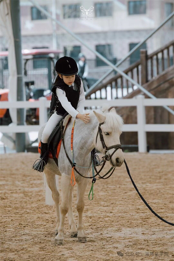 1712717776610154.png 图片30.png