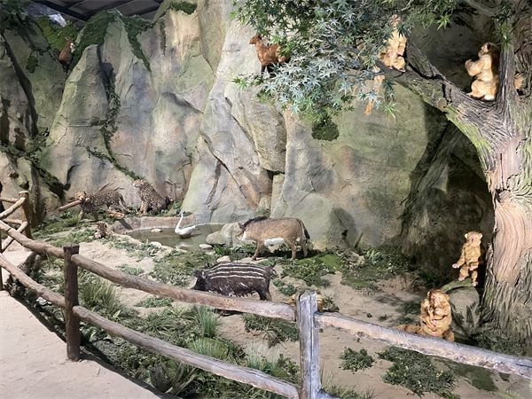 1714448477576081.png 图片8.png