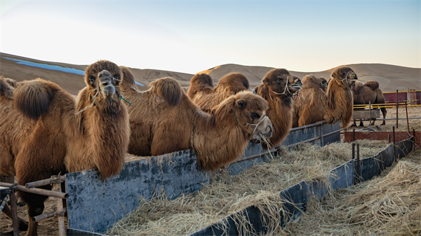 1714448666556392.png 图片14.png