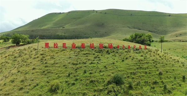 1715679376864820.png 图片3.png