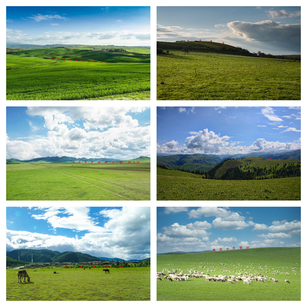 1715756342129686.png 图片3.png