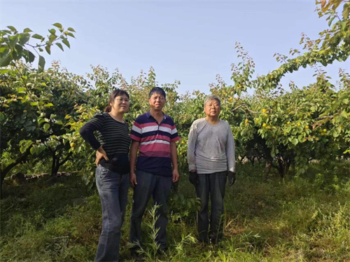 1716173002691285.png 图片2.png