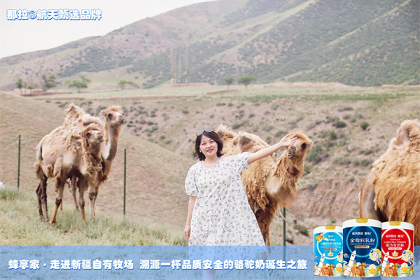 1717473714500768.png 图片18.png