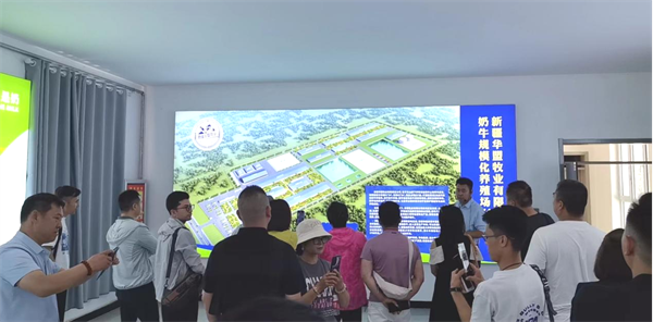 1718619314154838.png 图片25.png