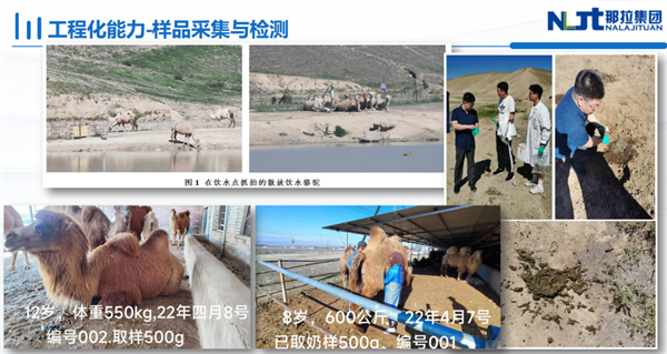 1718619335994769.png 图片27.png