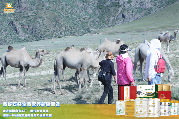 1719286375235893.png 图片13.png