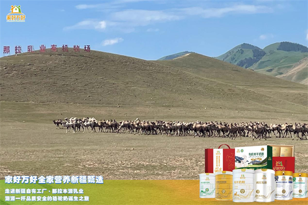 1719286586995350.png 图片4.png