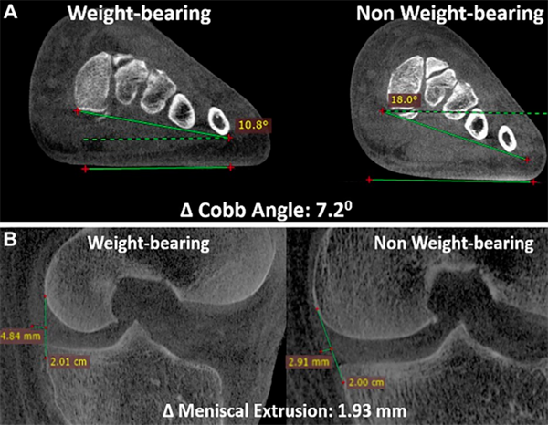 1722333889719666.png 图片5.png