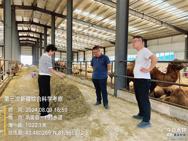 1723537835909921.png 图片10.png