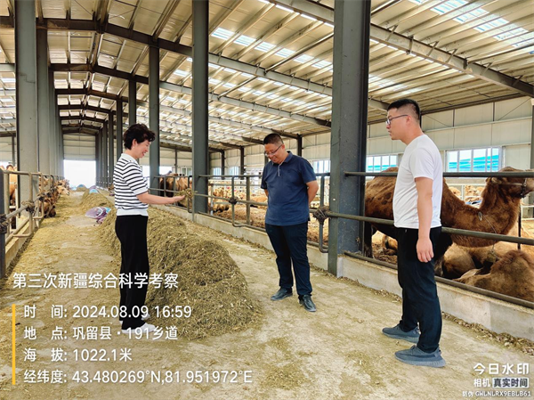 1723537840758738.png 图片11.png