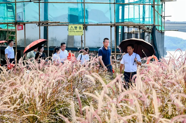 1723622328211779.png 图片7.png