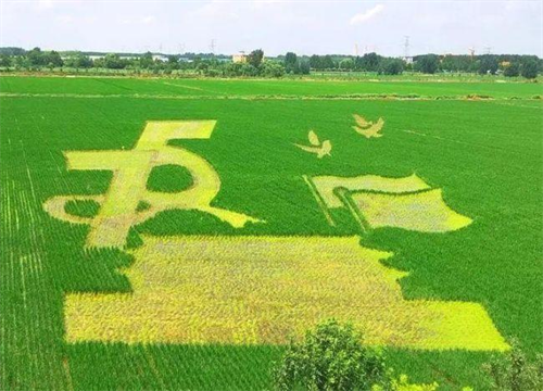 1724052610336225.png 图片2.png