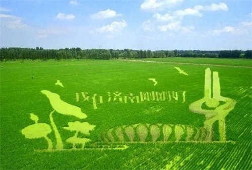 1724052590271795.png 图片1.png