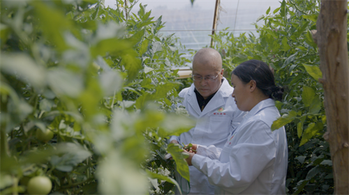 1724145670439888.png 图片2.png