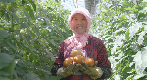 1724145703610832.png 图片6.png