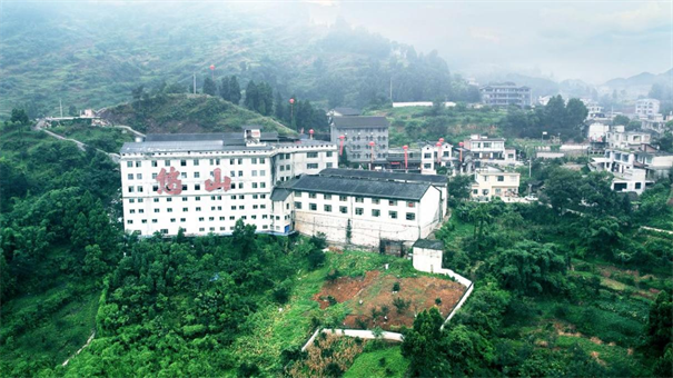 1728900129905285.png 图片7.png