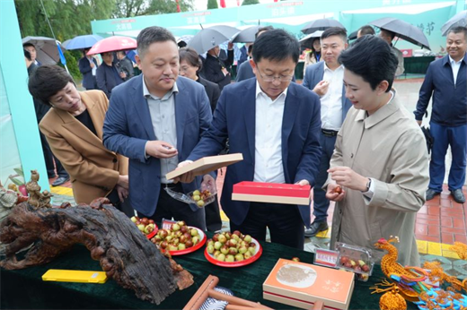 1729320968667653.png 图片3.png