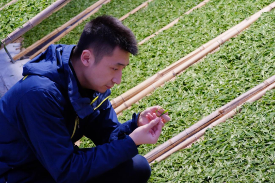 1729575643593758.png image.png