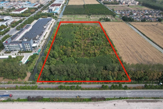 1733213447984809.png 图片1.png