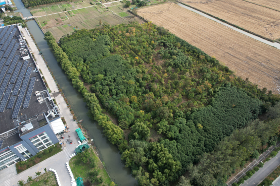 1733213467773460.png 图片3.png