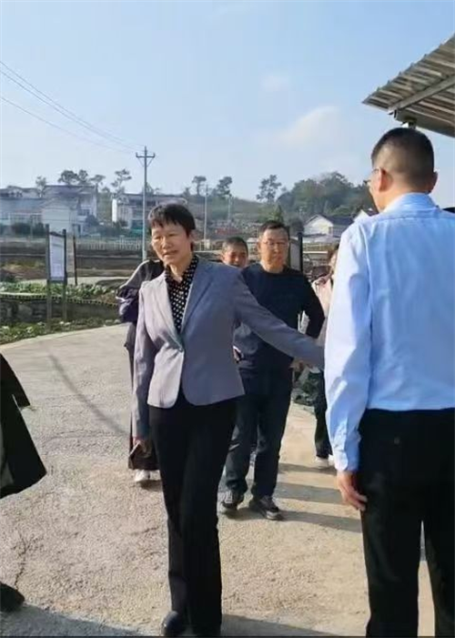 1743659646147770.png 图片6.png