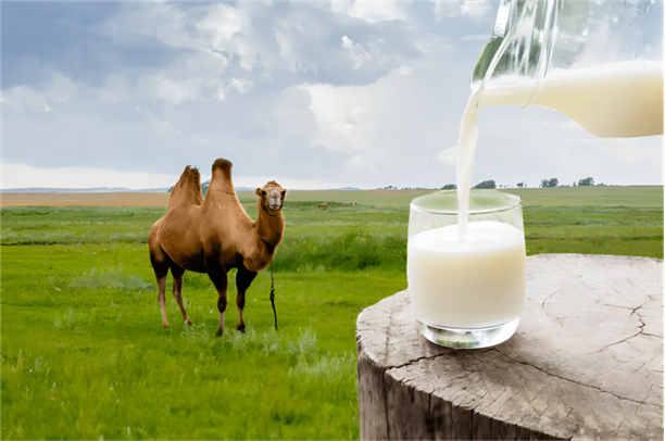 1744594603352546.png 图片6.png