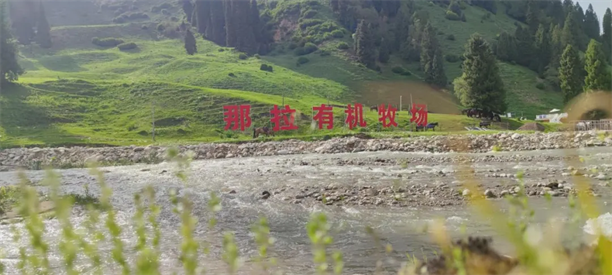 1744594769482465.png 图片14.png